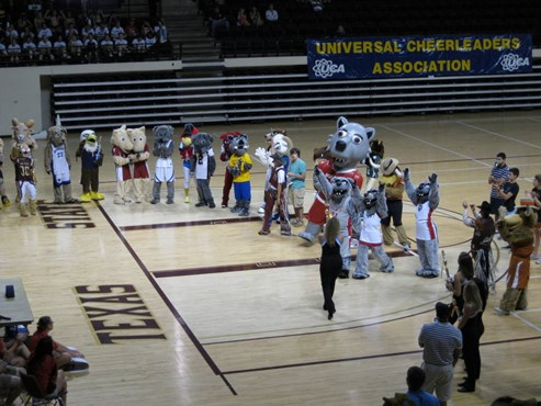 Mascot Awards