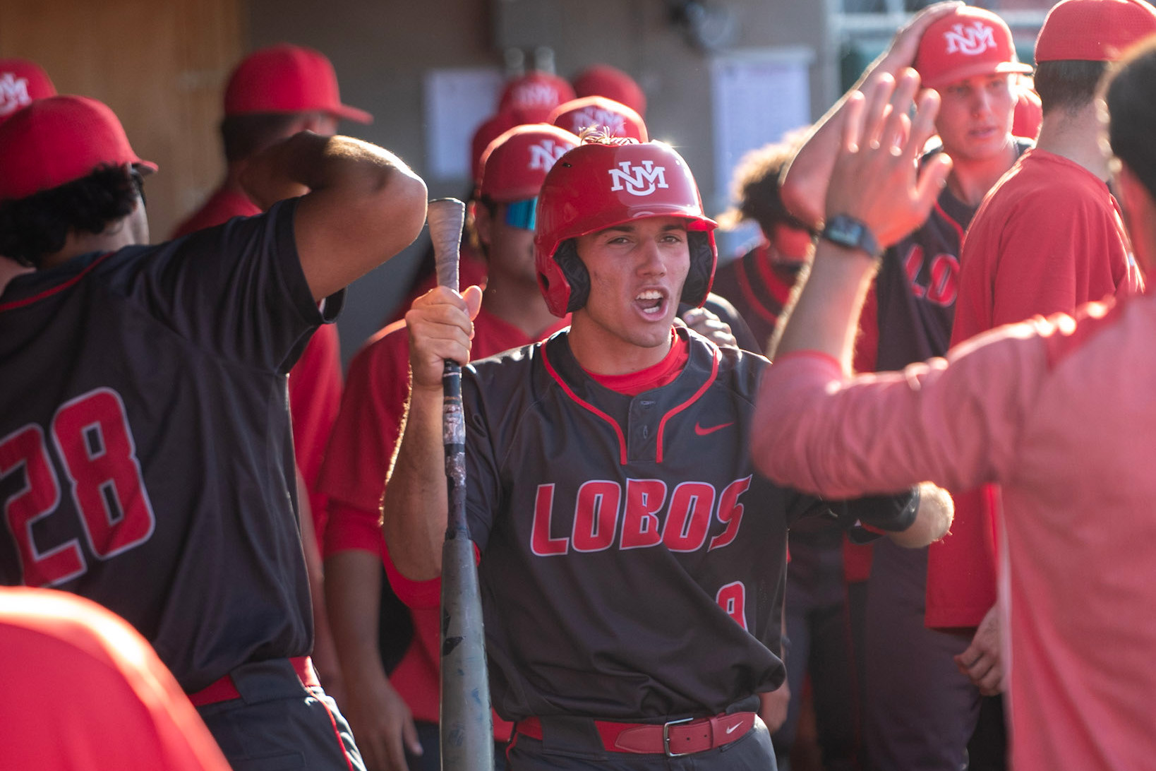 New Mexico Baseball news