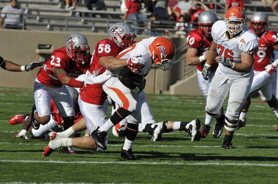 Lobo defense