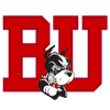 University of New Mexico Lobos athletics