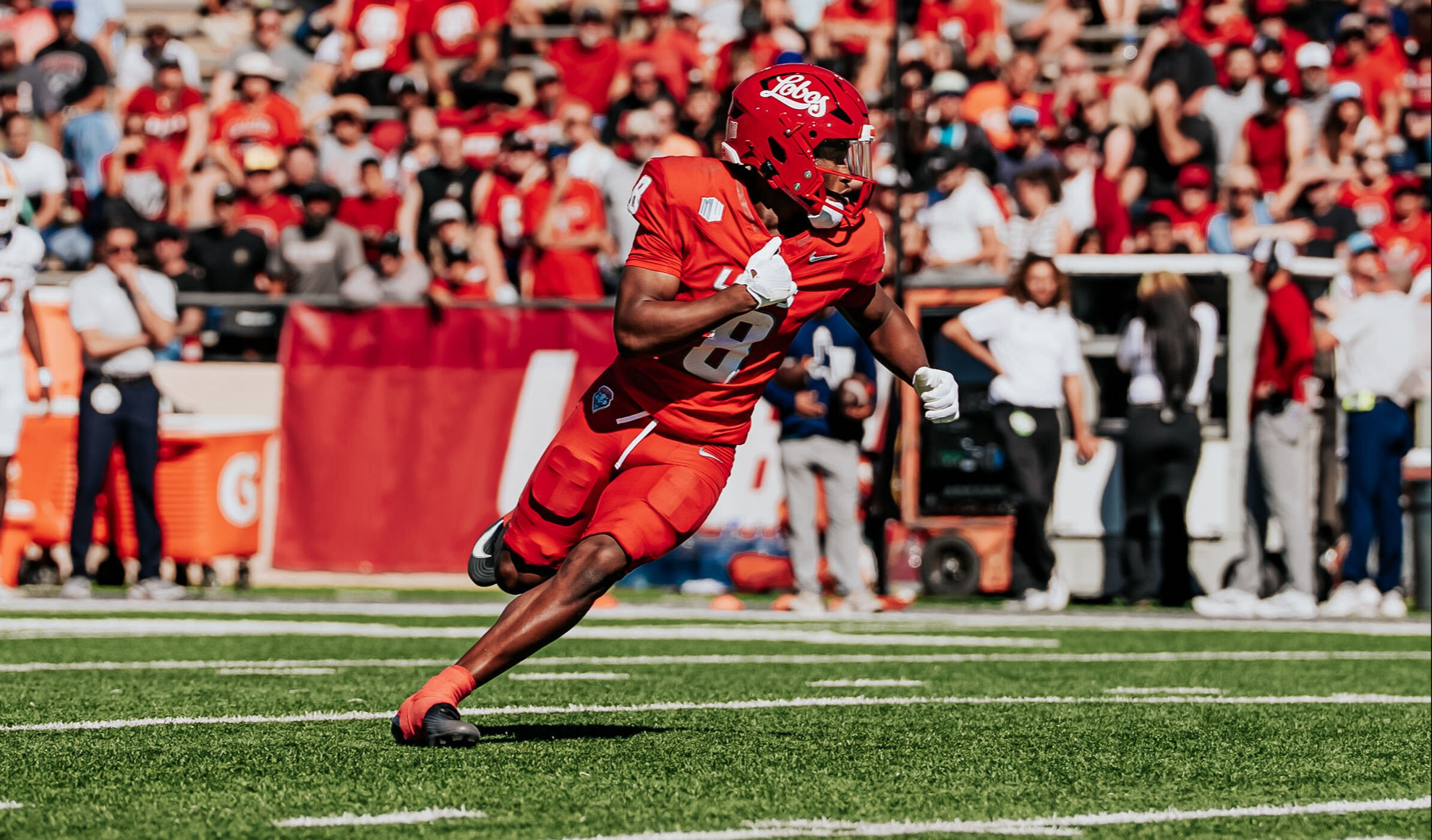 New Mexico Football news