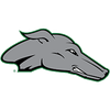 University of New Mexico Lobos athletics