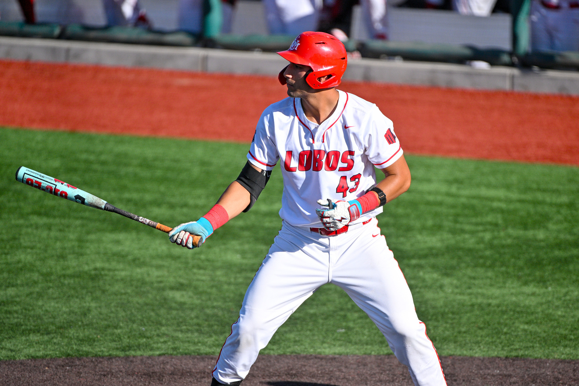 New Mexico Baseball news