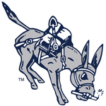 University of New Mexico Lobos athletics