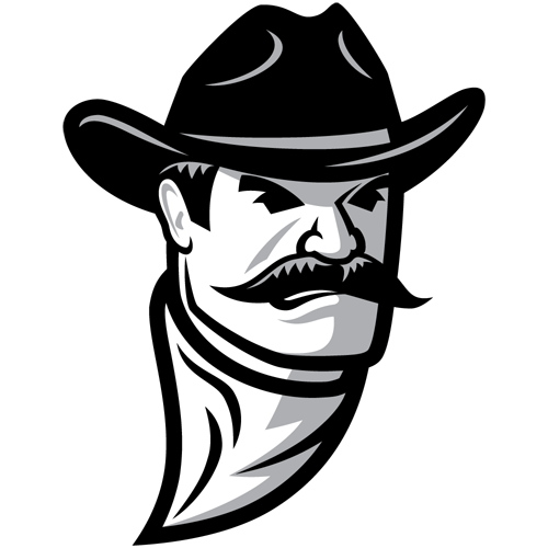 NMSU Alternate Logo d905481d-nmsu-alternate-logo
