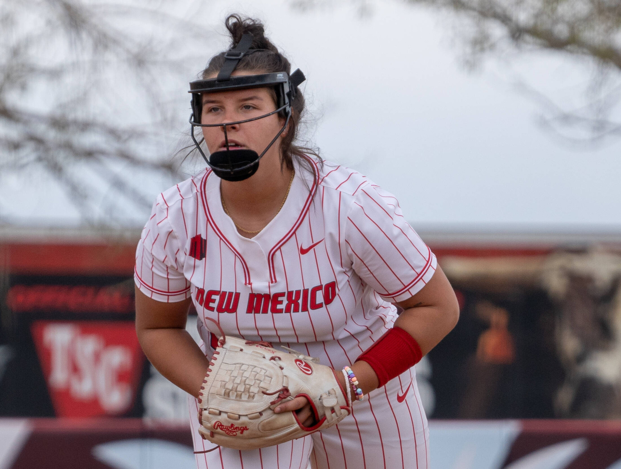 Chavez and Yeatts Homer as Guest Handles Miners in UNM Win - New Mexico ...