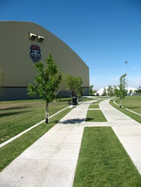 stadium