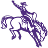 University of New Mexico Lobos athletics