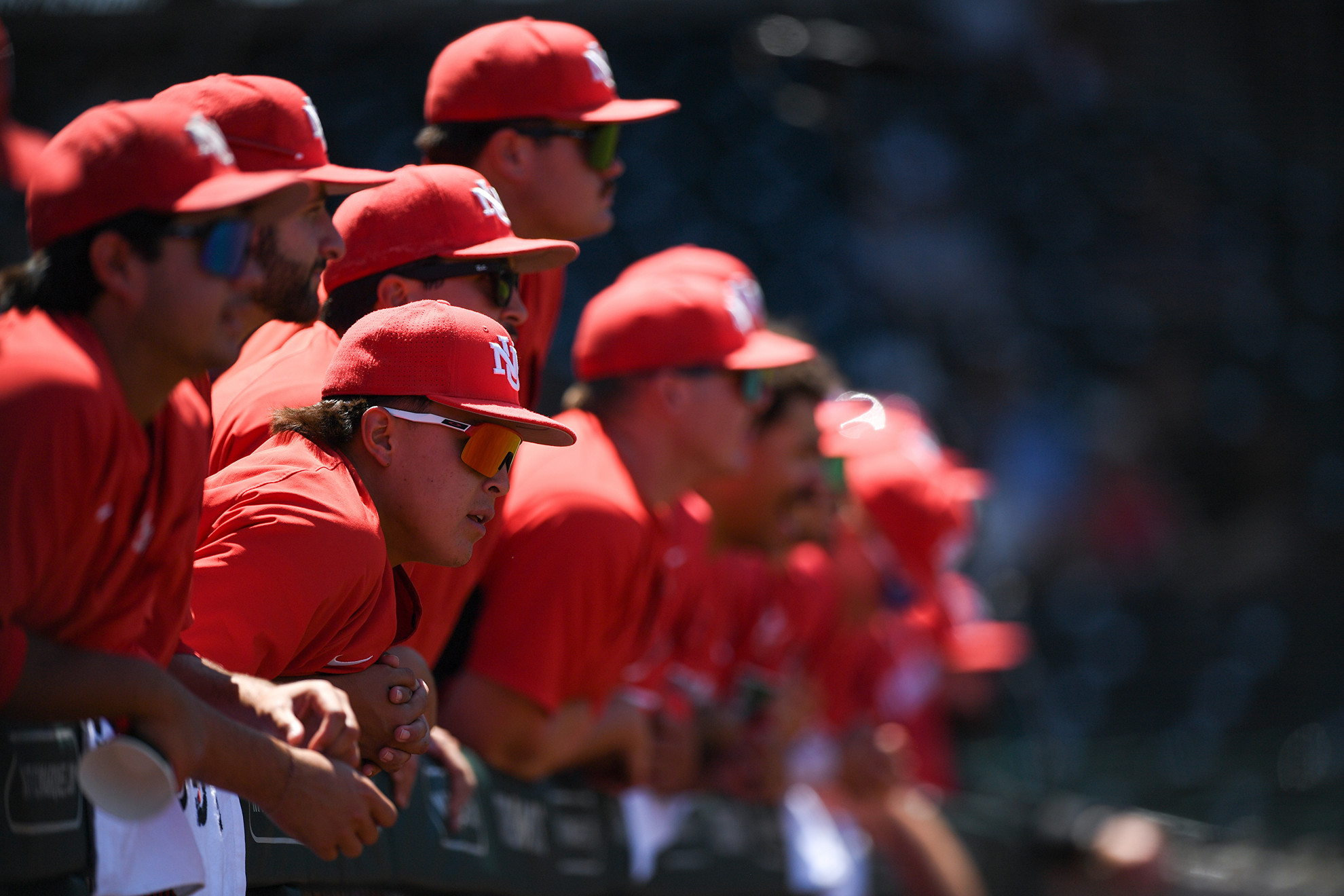 New Mexico Baseball news