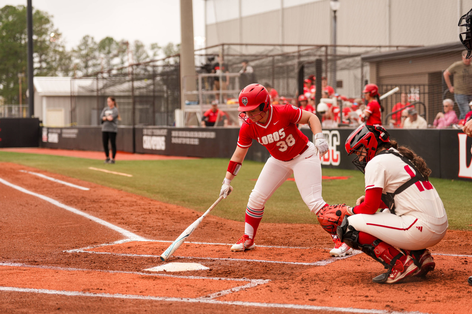 Chavez Goes 4-4 as Lobos Split Final Day of ACU Tournament - New Mexico ...